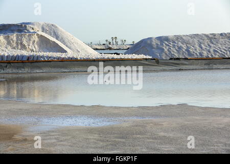 Opere di sale di stagno artificiale per evaporazione di acqua-sale in tumuli accanto al W.banca sulla S.sezione del Lago Afrera-Danakil-Etiopia. Foto Stock