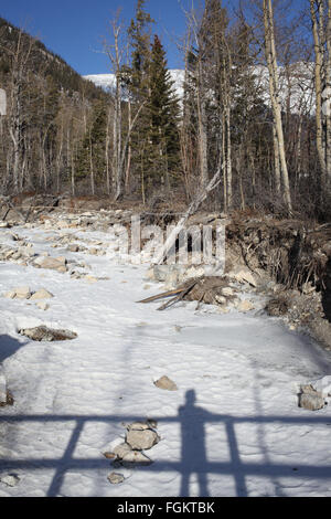 Ombre e sagome sul Lago Minnewanka Trail in Banff NP Foto Stock