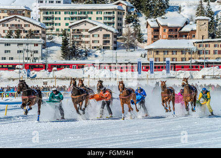 White Turf 2014 gara di cavalli da skikjoering davanti a St.Moritz Dorf, Svizzera Foto Stock