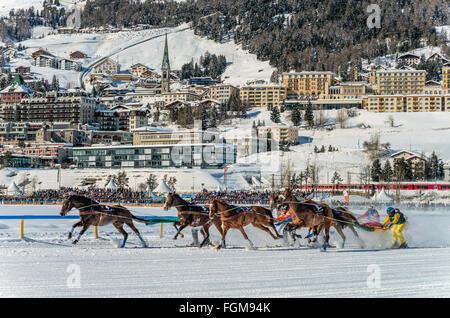 White Turf 2014 gara di cavalli da skikjoering davanti a St.Moritz Dorf, Svizzera Foto Stock