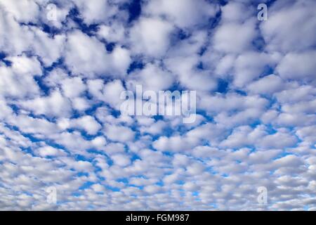 Cirrocumulus, lanosa nuvole, cattivo tempo anteriore, Prealpi bavaresi, Baviera, Germania Foto Stock