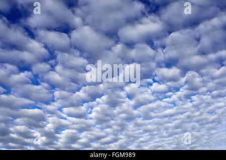 Cirrocumulus, lanosa nuvole, cattivo tempo anteriore, Prealpi bavaresi, Baviera, Germania Foto Stock