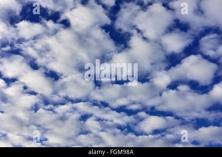 Cirrocumulus, lanosa nuvole, cattivo tempo anteriore, Prealpi bavaresi, Baviera, Germania Foto Stock