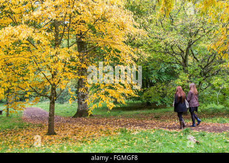 Due persone che camminano sul percorso attraverso acer a Westonbirt Arboretum, Gloucestershire, Enhgland, REGNO UNITO Foto Stock