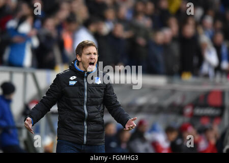 Sinsheim (Germania). Xx Febbraio 2016. Hoffenheim allenatore Julian Nagelsmann durante la Bundesliga partita di calcio tra TSG 1899 Hoffenheim e 1. FSV Mainz 05 a Rhein-Neckar-Arena a Sinsheim, Germania, 20 febbraio 2016. Foto: Uwe Anspach/dpa/Alamy Live News Foto Stock