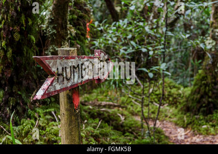 Mt humboldt firmano la Nuova Caledonia Foto Stock