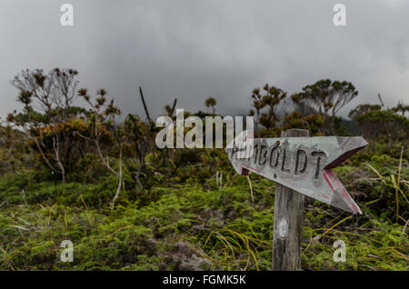 Mt humboldt firmano la Nuova Caledonia Foto Stock