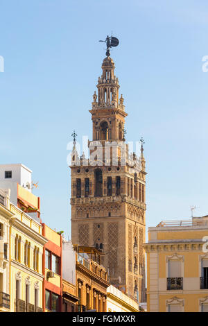 Siviglia, provincia di Siviglia, in Andalusia Spagna meridionale. La torre Giralda visto da Plaza San Francisco. Foto Stock