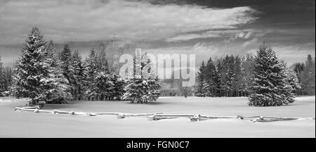 Mactaquac Provincial Park in inverno, Fredericton, New Brunswick Foto Stock