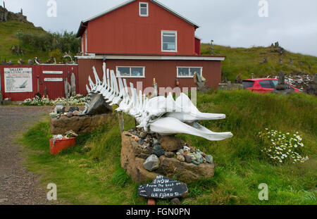 Islanda Djupivogur eccentic museo con Minke ossa di balena e di vendita di souvenir dispari in Islanda Orientale Foto Stock