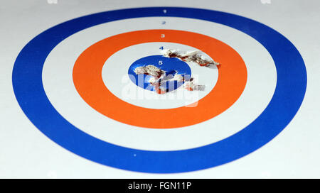 .22 5,5mm air rifle target Foto Stock