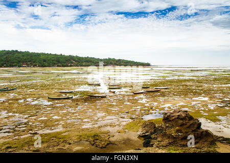 Nel sud dell'isola, lo stretto tra Nusa Lembongan e Nusa Ceningan è principalmente dedicata alla coltivazione di alghe marine. Foto Stock