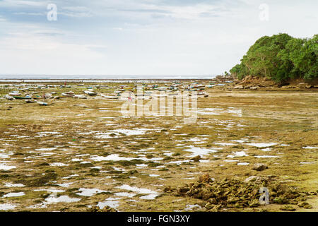 Nel sud dell'isola, lo stretto tra Nusa Lembongan e Nusa Ceningan è principalmente dedicata alla coltivazione di alghe marine. Foto Stock