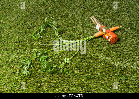coniglietto pasquale al cioccolato pugnalato con una carota Foto Stock