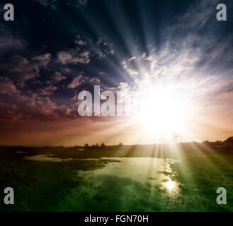 Landscape, sunny dawn in a field Foto Stock