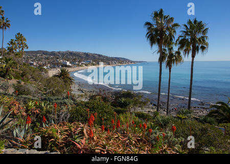 Una spettacolare vista guardando verso sud lungo la costa a Laguna Beach in California con red Aloe Vera e palme sulla rupe Foto Stock