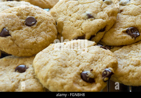 Pane appena sfornato dorata biscotti con scaglie di cioccolato raffreddamento su un rack, retro illuminato dalla luce del sole da una finestra Foto Stock