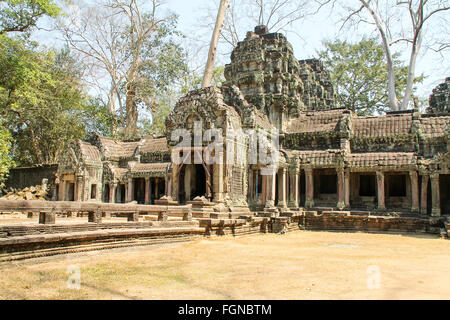 Panorama delle strutture sovradimensionate con alberi provenienti attraverso la costruzione a Angkor Wat, Siem Reap Cambogia Foto Stock