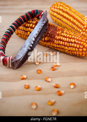 I tutoli di mais con manuale lo strumento mano per pulire il granturco su sfondo di legno Foto Stock