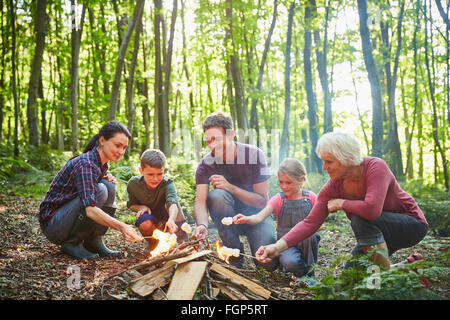 Multi-generazione di torrefazione della famiglia marshmallows al falò in foresta Foto Stock