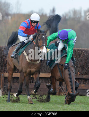 Fakenham nazionale gara di suoneria incontro Norfolk 17.02.16 Richard McLennon cade dal Rock N ritmica durante una corsa ad ostacoli salta gara Foto Stock