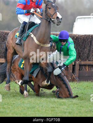Fakenham nazionale gara di suoneria incontro Norfolk 17.02.16 Richard McLennon cade dal Rock N ritmica durante una corsa ad ostacoli salta gara Foto Stock
