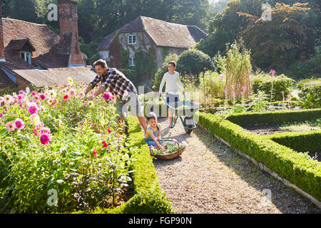 Il giardinaggio della famiglia nel soleggiato giardino fiorito Foto Stock