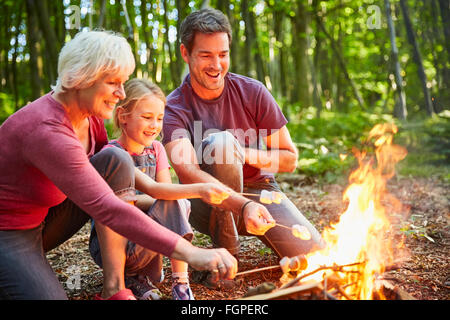 Multi-generazione di torrefazione della famiglia marshmallows al falò in foresta Foto Stock