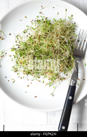 Fresco verde di germogli alfalfa. Il mangiare sano concetto Foto Stock