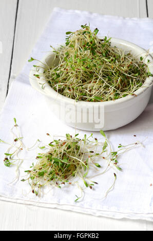 Fresco verde di germogli alfalfa. Il mangiare sano concetto Foto Stock