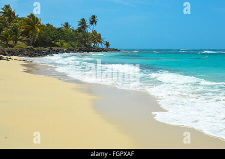 Bella spiaggia tropicale sulla Grande Isola di mais nel Mar dei Caraibi, Nicaragua Foto Stock