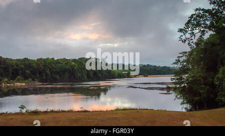 Vista Jangle e fiume Essequibo in Guyana, Sud America Foto Stock