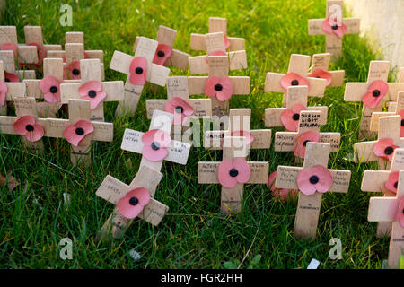 Manchester, Regno Unito - 15 Febbraio 2016: piccole casette di legno rimembranza attraversa con papaveri al di fuori di Manchester Town Hall Foto Stock