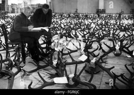 Mostre, mostra di caccia, mostra internazionale di caccia a Berlino, le formiche di stag sono catalogate, circa 1937, diritti aggiuntivi-clearences-non disponibili Foto Stock