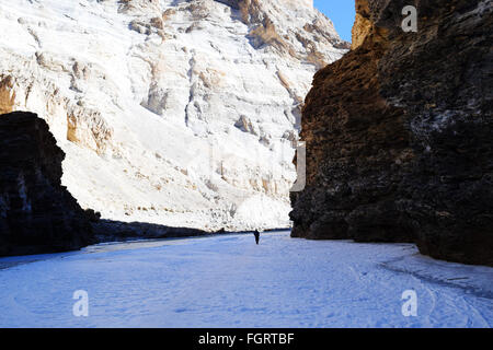 Trekking sul ghiaccio in ladakh Foto Stock