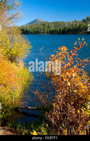 Suttle Lago, Deschutes National Forest, Oregon Foto Stock