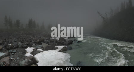 La nebbia paesaggio con fiume di montagna Foto Stock
