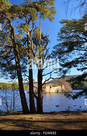Rovine del Castello sull'isola sul Loch un Eilein, Rothiemurchus Estate, Highlands scozzesi, REGNO UNITO Foto Stock