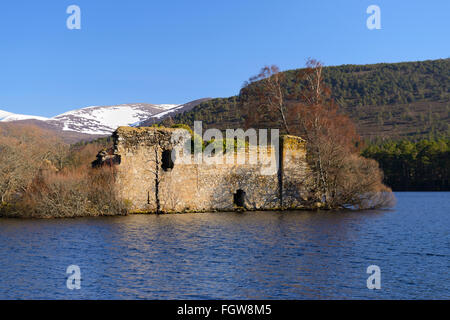 Rovine del Castello sull'isola sul Loch un Eilein, Rothiemurchus Estate, Highlands scozzesi, REGNO UNITO Foto Stock