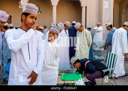 Il venerdì il Mercato degli Uccelli, Nizwa, Ad Dakhiliyah Regione, Oman Foto Stock