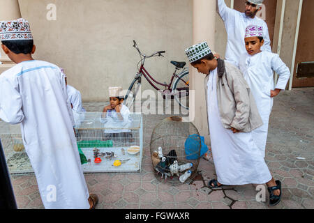 Un ragazzo Omani vende uccelli esotici al venerdì mercato di uccelli, Nizwa, Ad Dakhiliyah Regione, Oman Foto Stock