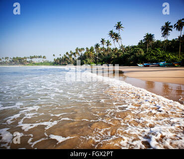 Incontaminata spiaggia tropicale in Sri Lanka Foto Stock