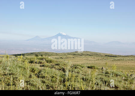 Il monte Ararat (Turchia) visti dal pendio del monte Aragats, Armenia Foto Stock