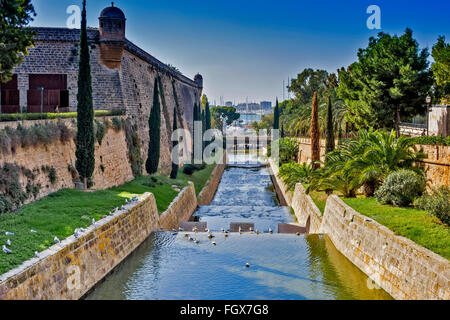 Torrent de Sa Riera (Fiume) Palma di Maiorca Spagna Foto Stock