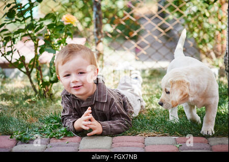 Little Boy giocando con un bianco Labrador cucciolo Foto Stock