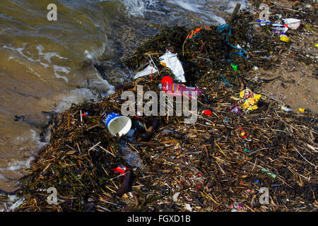 Venti forti, New Brighton, Wallasey, Regno Unito. Il 22 febbraio, 2016. Marine beach detriti è diventata un inquinamento diffuso problema che affligge tutti gli oceani del mondo. È noto per essere la causa di infortuni e morte di numerosi animali marini e uccelli, o perché essi impigliarsi in esso o essi scambiarlo per la preda e mangiare. Le implicazioni ambientali della marea di plastica detriti marini in Impostazioni- includono entanglement, ingestione, soffocamento e tossine. Foto Stock