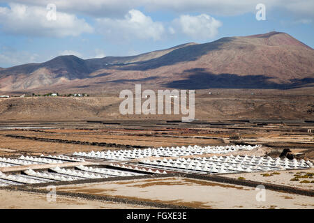 Salinas de Janubio, Lanzarote, Isole canarie, Spagna, Europa Foto Stock