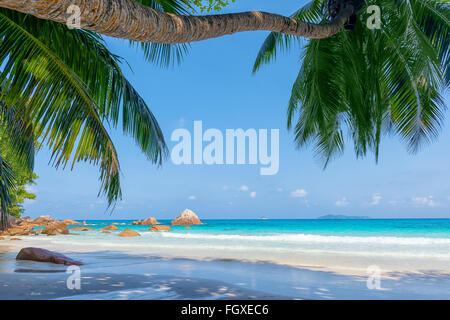 Anse Lazio beach l'isola di Praslin seychelles Foto Stock