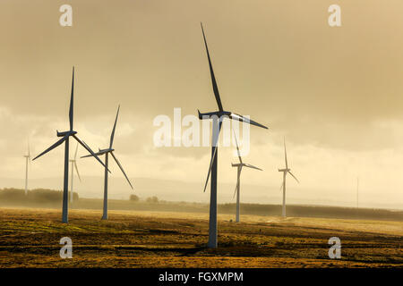 Le turbine eoliche a Whitelee Wind Farm, Eaglesham Moor, vicino a Glasgow, Scotland, Regno Unito nella nebbia di mattina Foto Stock