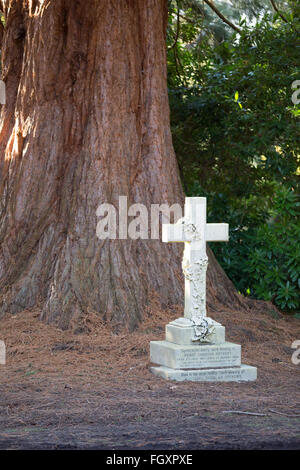 Una pietra ivy croce, in piedi direttamente di fronte a un albero. Foto Stock